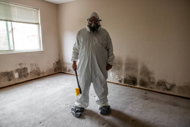 Biohazard Mold Removal in Redmond, WA